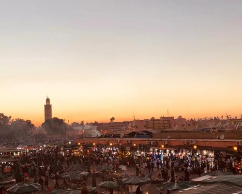 《开罗艺人舍游戏攻略》（揭秘开罗艺人舍的最佳策略与技巧）