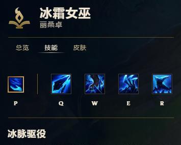 《以次元风暴巫女技能加点攻略》（解析巫女技能加点策略，助你在次元风暴中脱颖而出！）