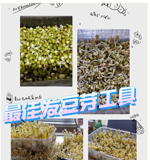 以豆芽人出图攻略（豆芽人出图攻略，快速掌握制图技巧，打造精美的图文内容）