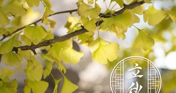 御寒新版安心出装攻略（时尚保暖，让你安心过冬）