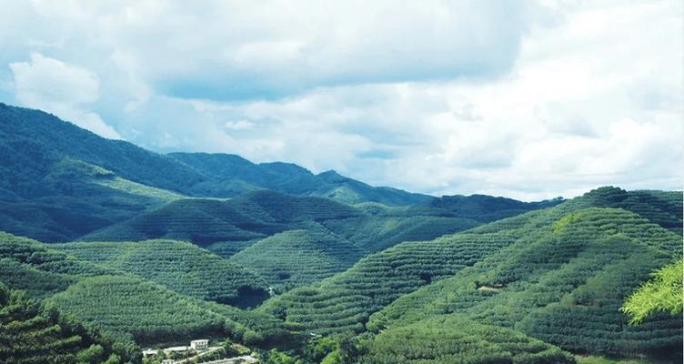 骇游侠探农场任务攻略（挑战自己，收获成就，让你成为真正的农场大亨！）