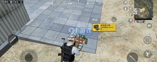 和平精英观察者pe怎么用,掌握游戏观察技巧