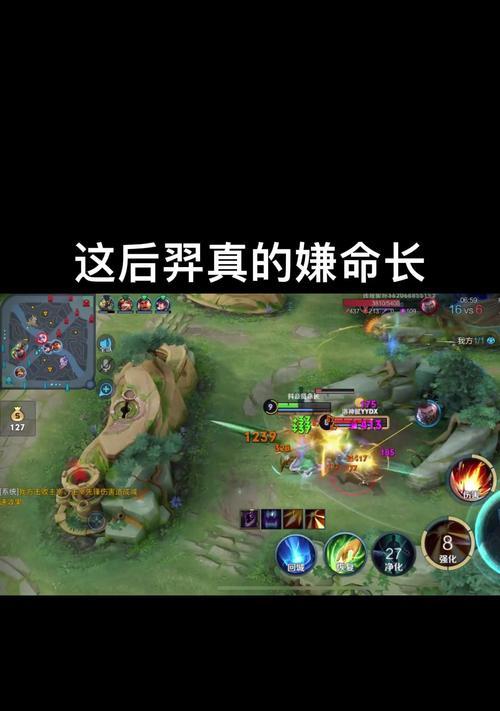 以后羿开局反野出装攻略（打造不可侵犯的反野阵地，让野怪无处可逃）