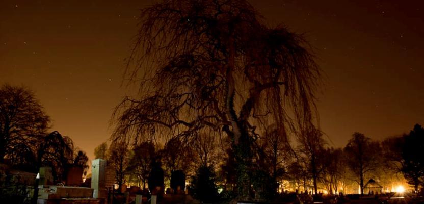 恐怖游戏中文坟墓攻略大揭秘（勇闯坟墓寻找真相的最佳策略）