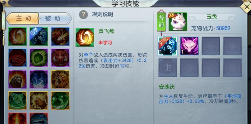 《大荒初境技能搭配攻略》（玩转大荒初境，搭配技能如虎添翼）